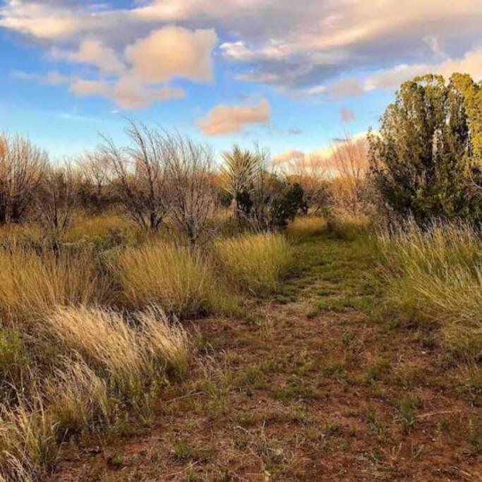 Cottonwood Creek Cabins - Alpine, Tx 외부 사진