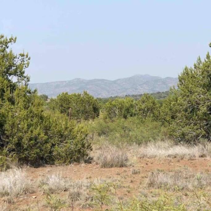 Cottonwood Creek Cabins - Alpine, Tx 외부 사진