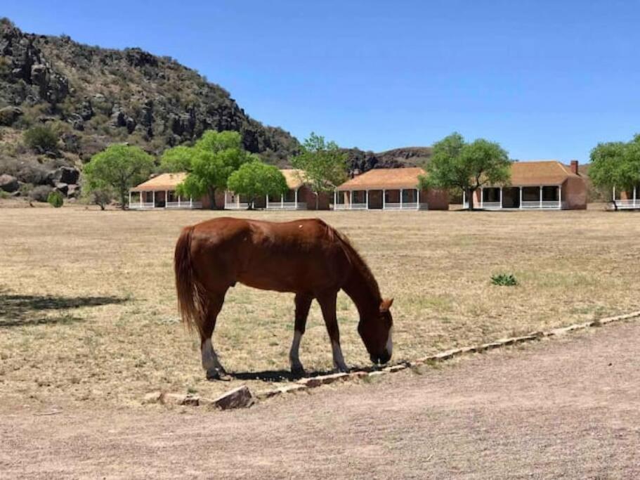 Cottonwood Creek Cabins - Alpine, Tx 외부 사진