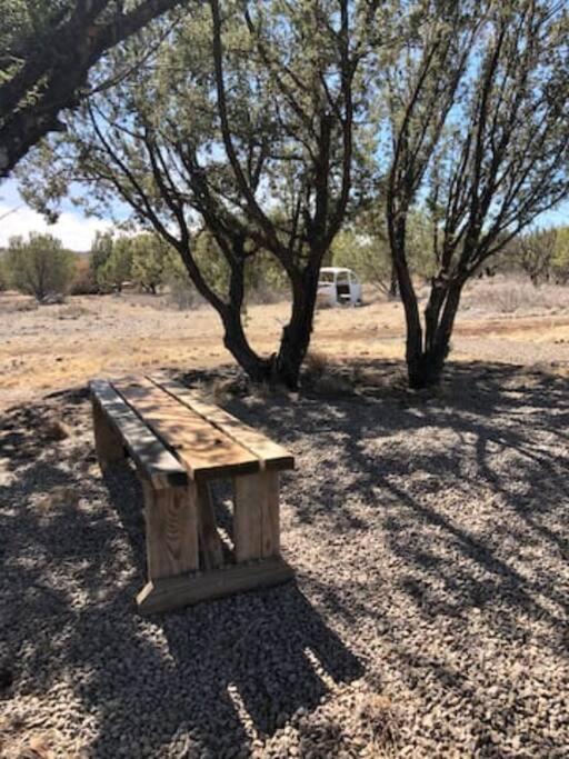Cottonwood Creek Cabins - Alpine, Tx 외부 사진