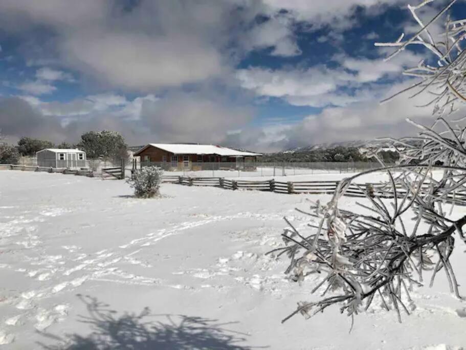Cottonwood Creek Cabins - Alpine, Tx 외부 사진