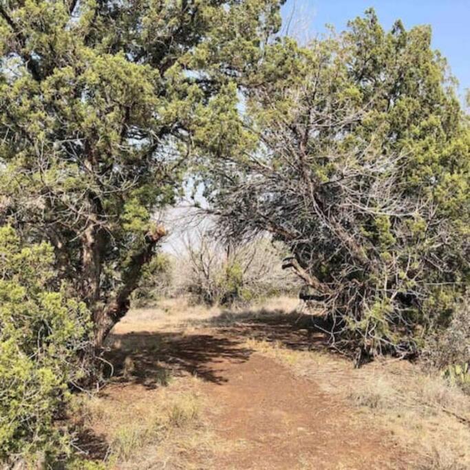 Cottonwood Creek Cabins - Alpine, Tx 외부 사진