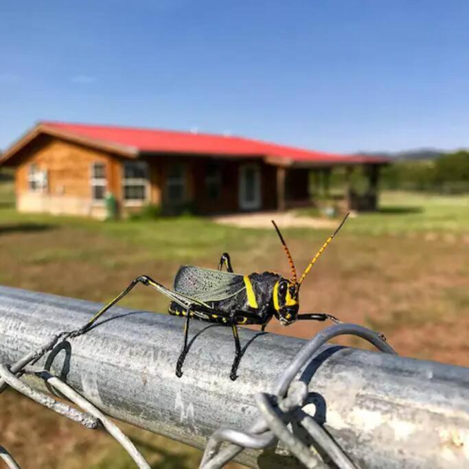 Cottonwood Creek Cabins - Alpine, Tx 외부 사진