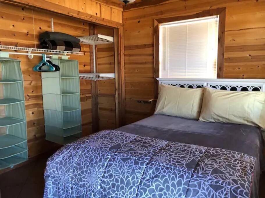 Cottonwood Creek Cabins - Alpine, Tx 외부 사진