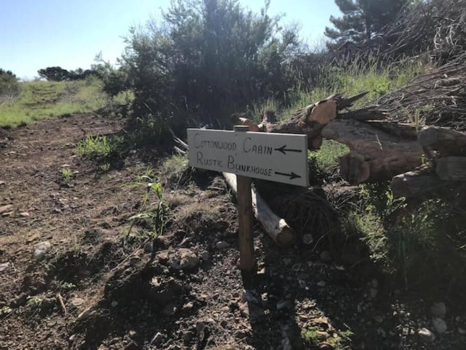 Cottonwood Creek Cabins - Alpine, Tx 외부 사진